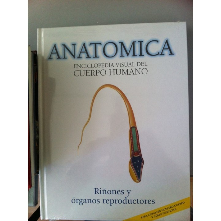 ANATOMICA. ENCICLOPEDIA VISUAL DEL CUERPO HUMANO, VOLUMEN 10: Riñones y órganos reproductores.